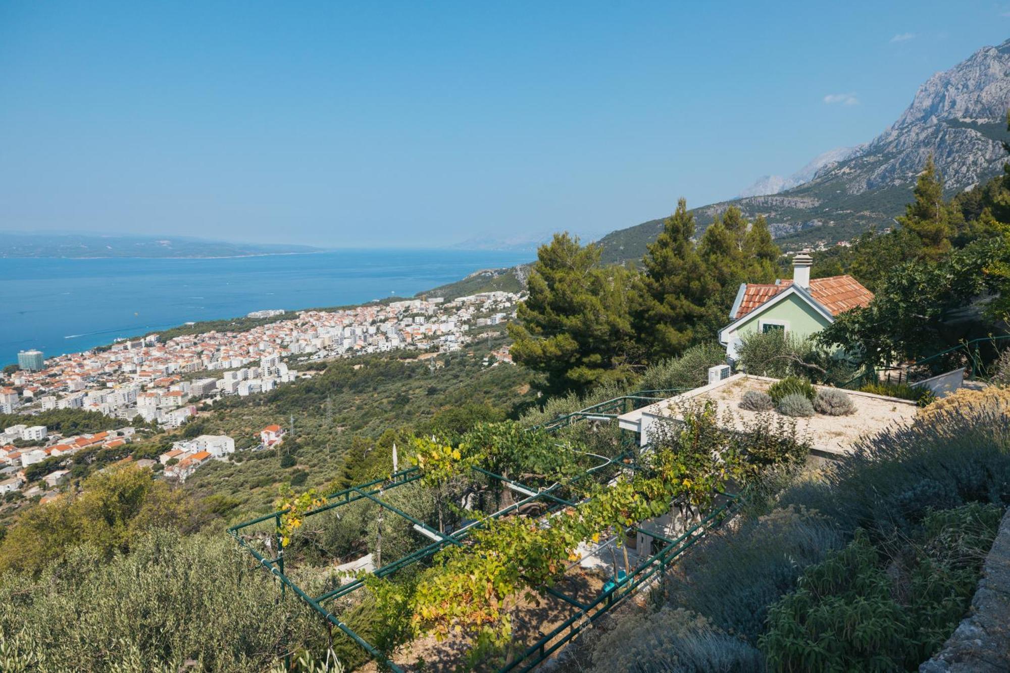 Villa Pelargonia Макарска Экстерьер фото